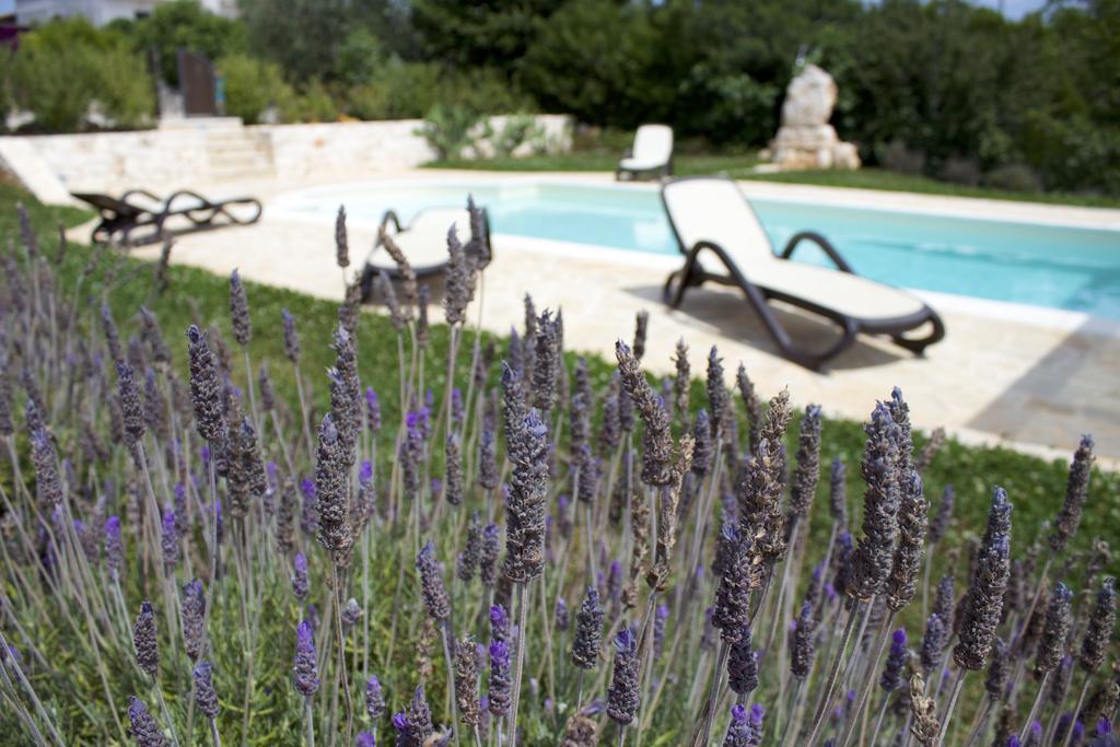Antica Aia B&B Cisternino Pokój zdjęcie